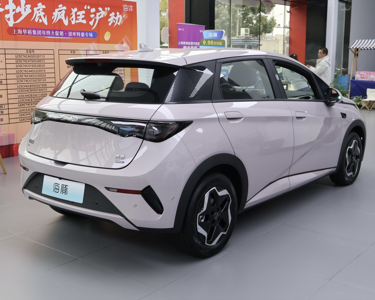 BYD Dolphin rear view showing LED tail lights and connecting light bar